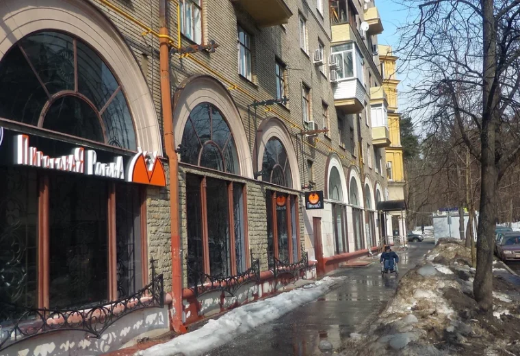 Пироговая Рогова