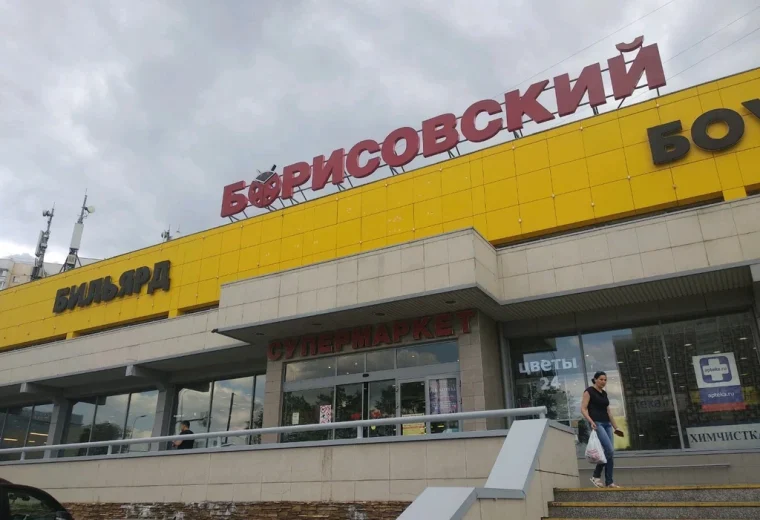 Борисовский