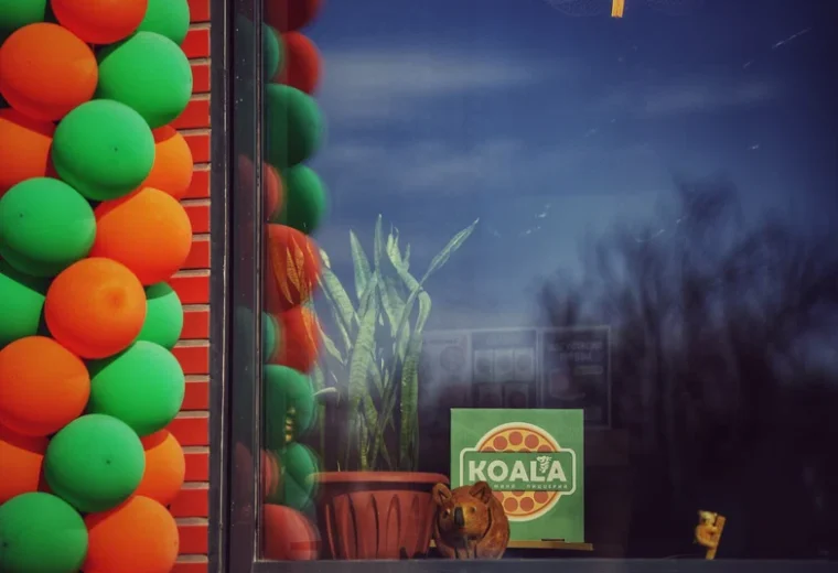 Коала