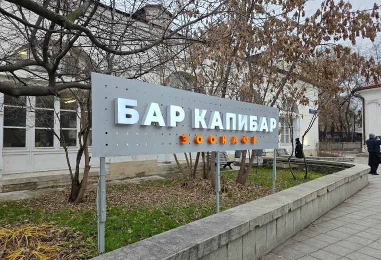 Бар Капибар