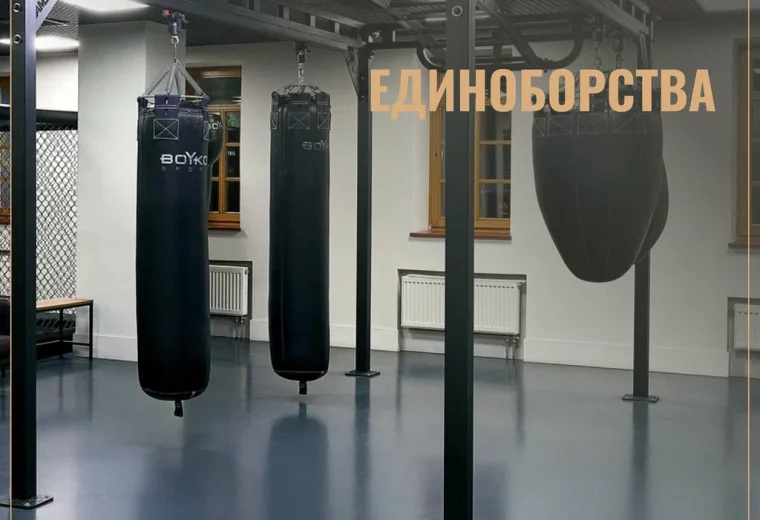 Онегин