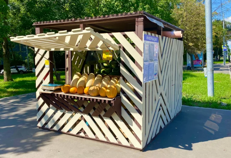 Бахча