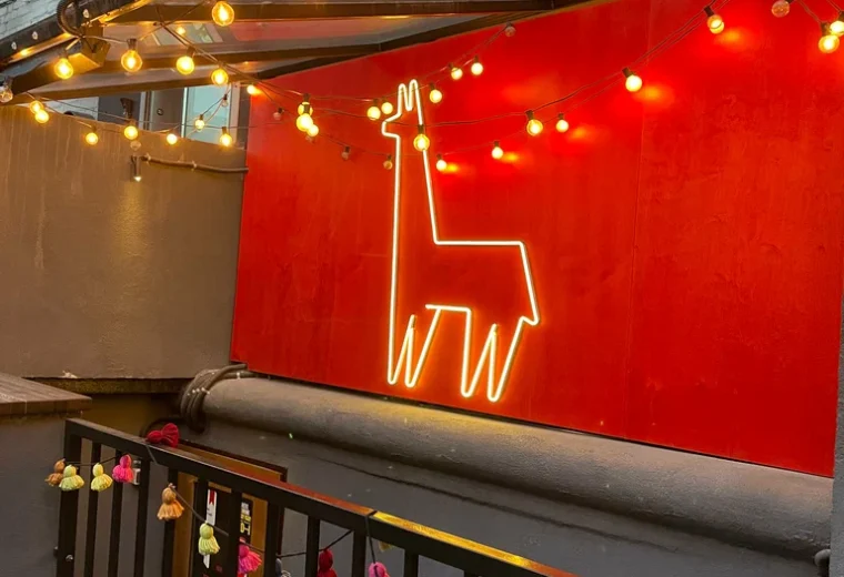 Alpaca