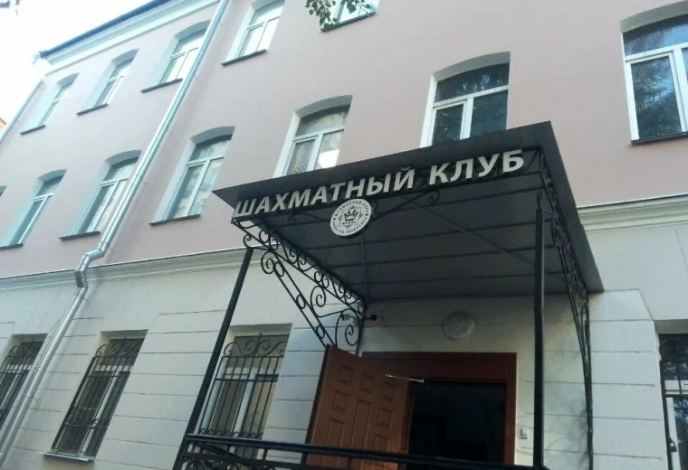 Шахматы