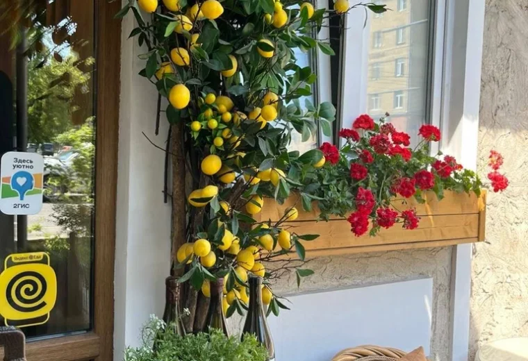 Casa Di Nonna