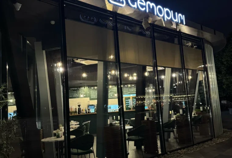Гемопури
