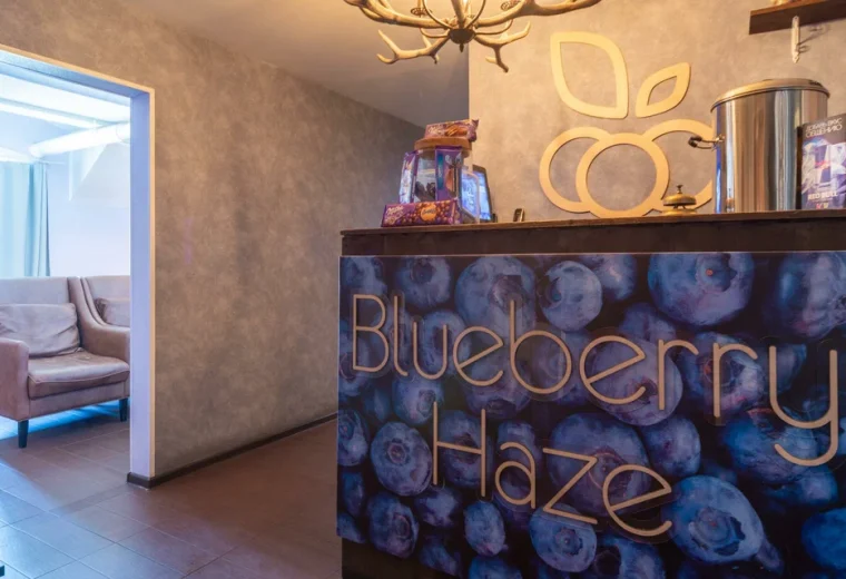 Blueberry Haze