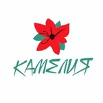 Камелия