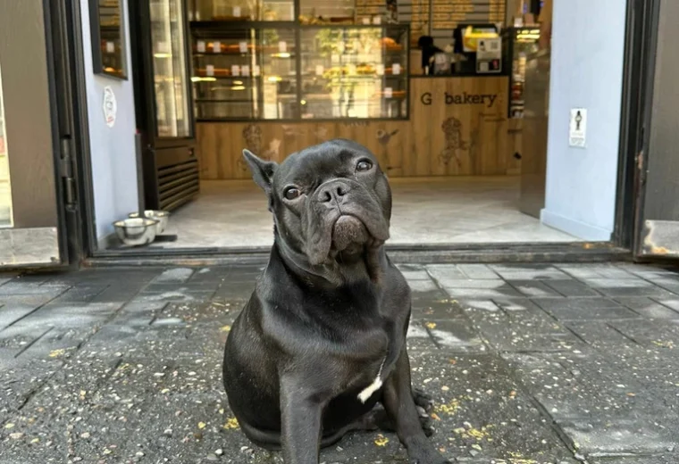 Gbakery8