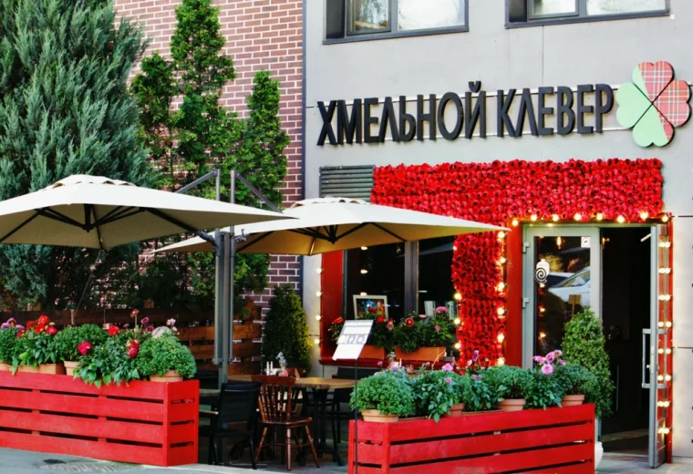 Хмельной клевер