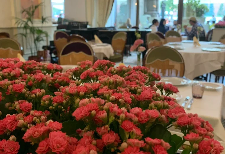 Bosco Café