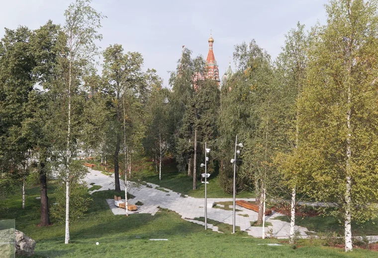 Березовая роща