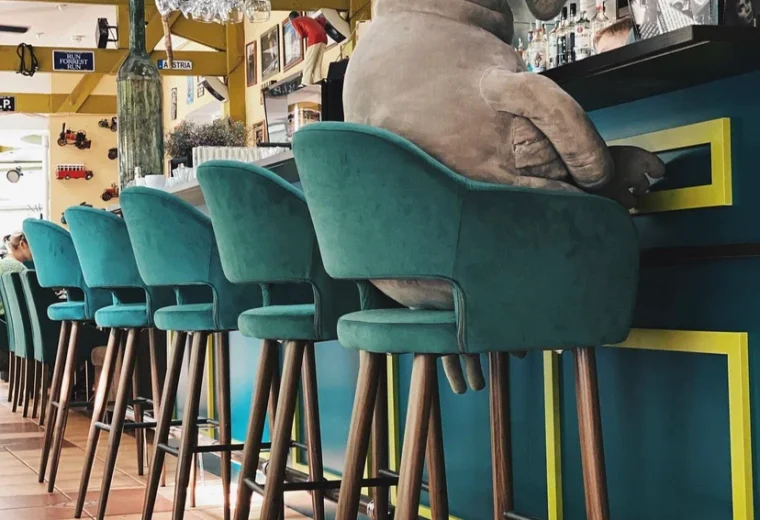IQ Café