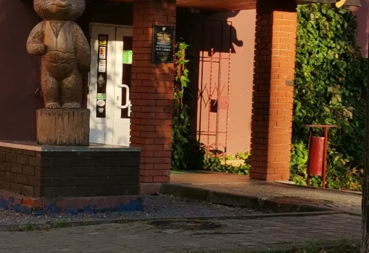 Толстый медведь
