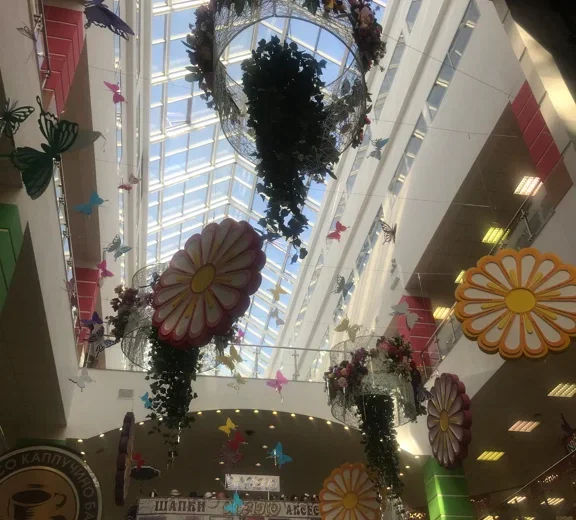 Аэробус