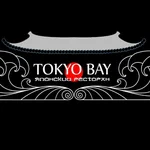 Tokyo Bay