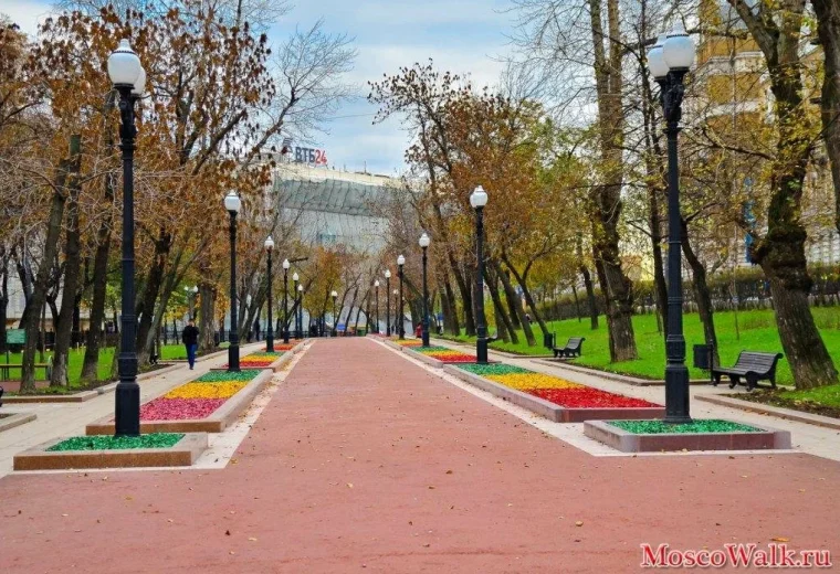 Апельсин