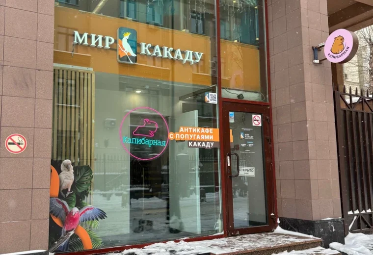 Мир какаду
