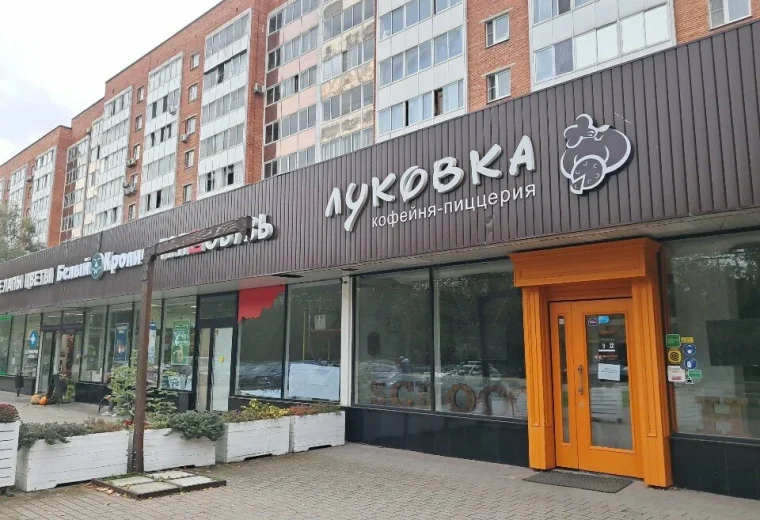 Луковка