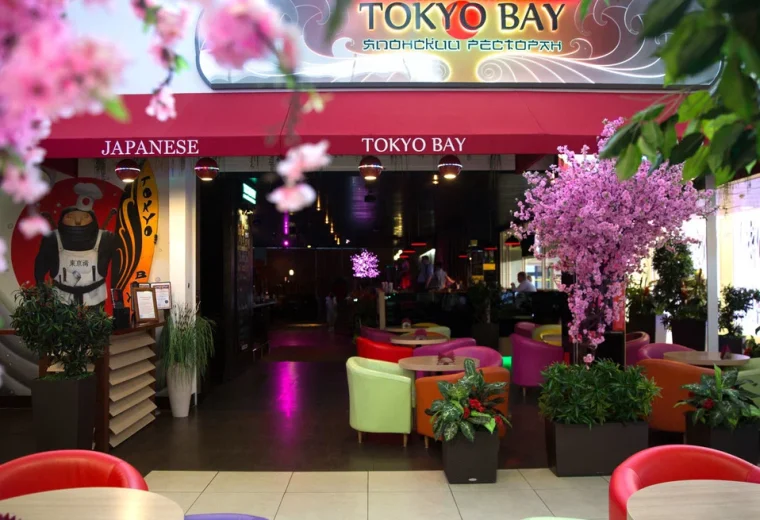 Tokyo Bay