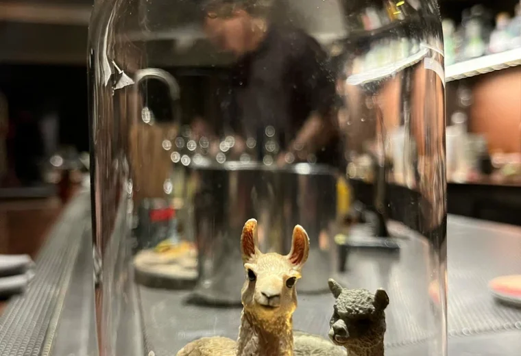 Alpaca