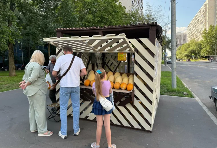 Бахча