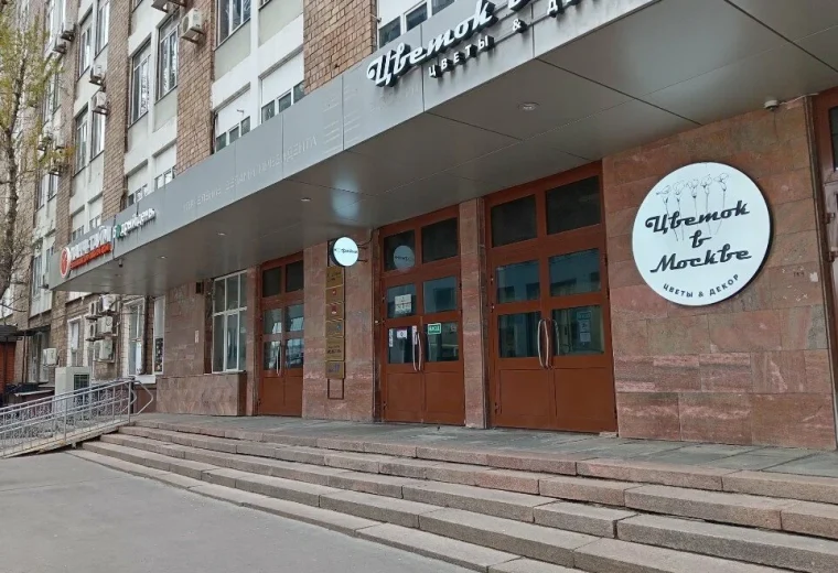 Дельфин