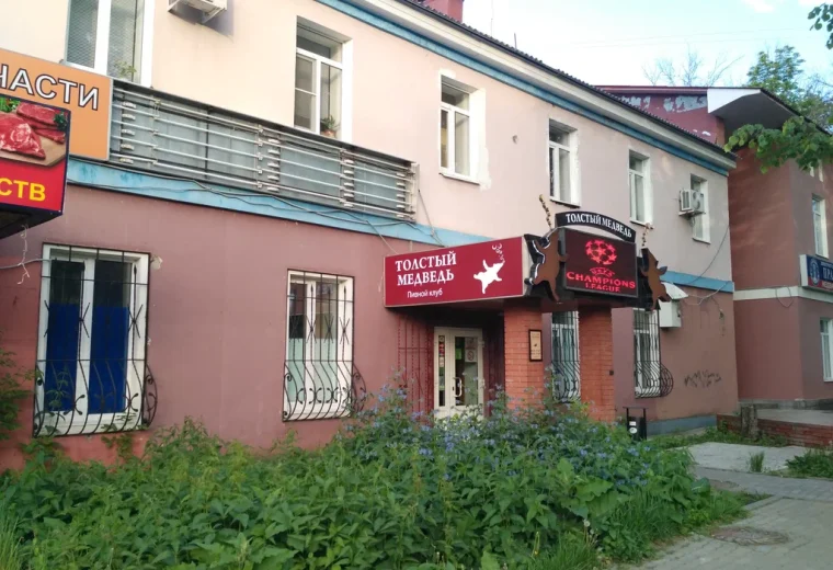 Толстый медведь