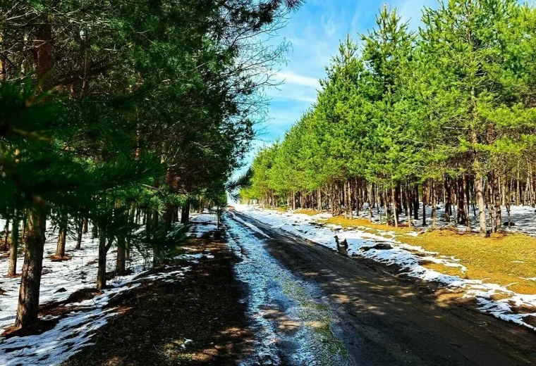 ParkPlace