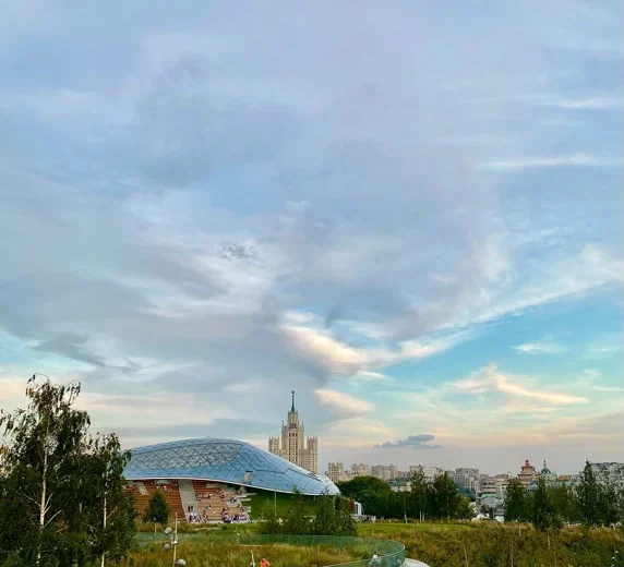 Березовая роща