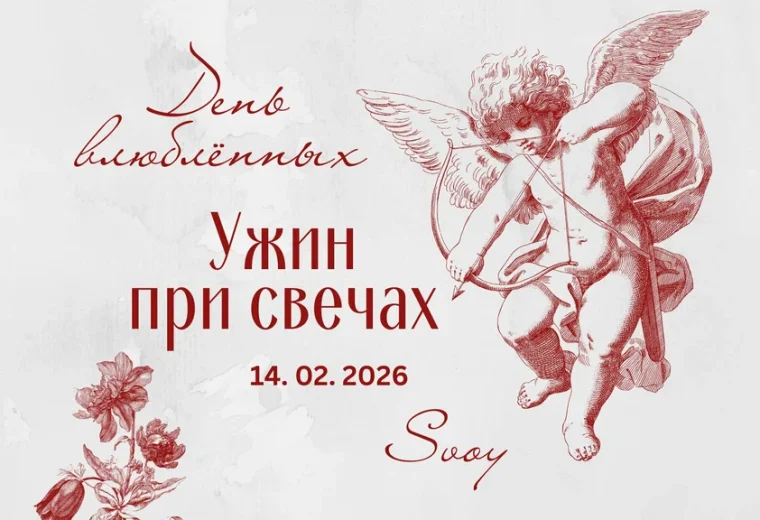 Svoy