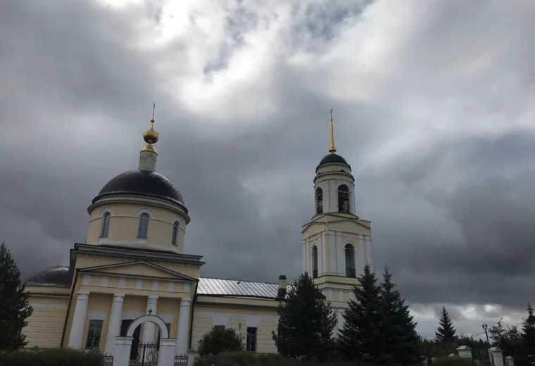 Лесная поляна