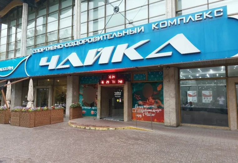 Бамбук