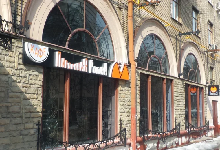 Пироговая Рогова