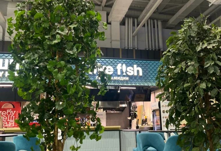 I Like Fish