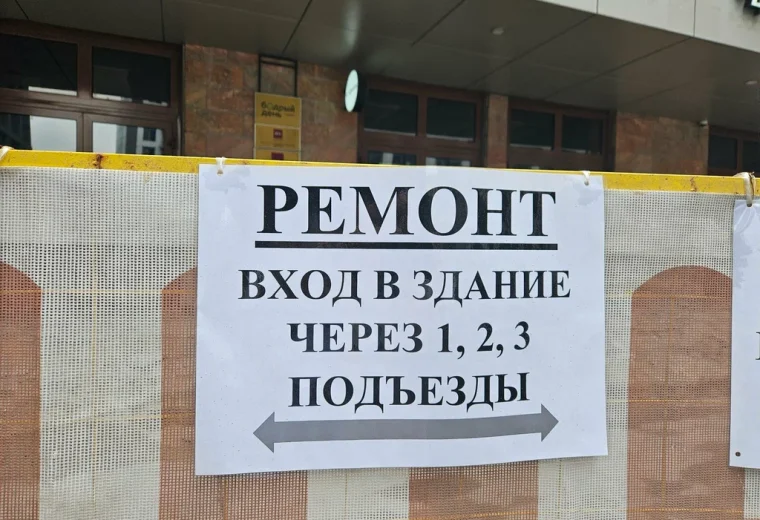Дельфин