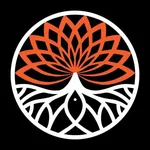 Kikuhana Sushi&Korean BBQ