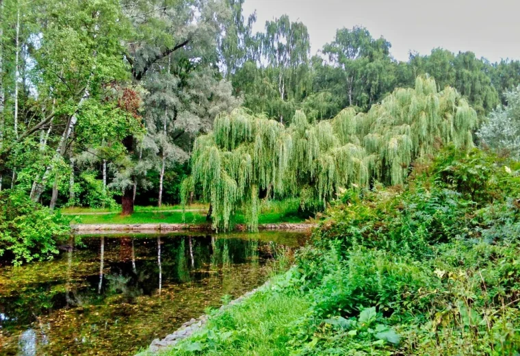Водопад