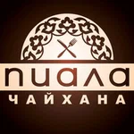 Пиала