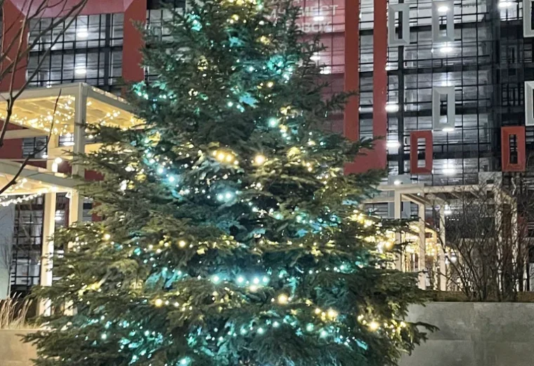Огни