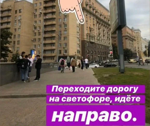 Белый лис