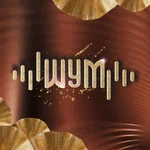 Шум